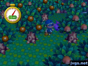 Bob hides behind a tree during a game of hide-and-seek in ACCF.