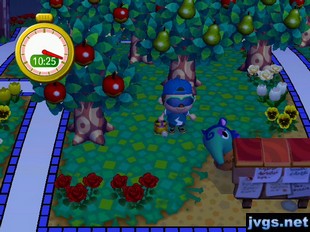 Pango peeks out from behind the bulletin board during hide-and-seek in Animal Crossing: City Folk.