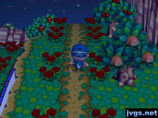 Dirt paths on my dead end.