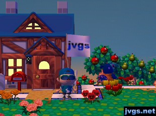 The JVGS logo as the flag on my house.