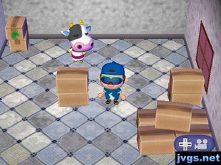 Tipper, with her furniture all packed up in boxes, ready to move out.