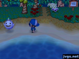 Finding Wisp on the beach.