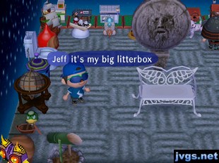 Jeff: It's my big litterbox.