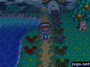 Several wilted black roses in town.