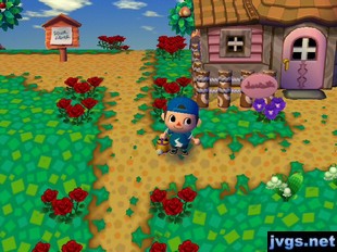 An empty lot (where Antonio lived) next to Bob's house in Forest.