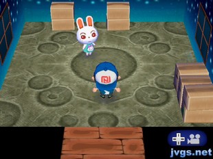 Ruby the rabbit, who just moved into Forest (ACCF).