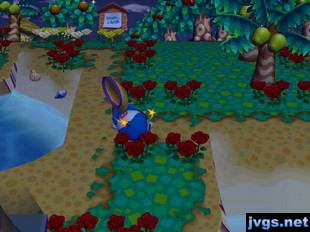 I pass out after being attacked by a tarantula.