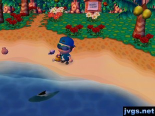 A shark swims in the ocean, near the shore.