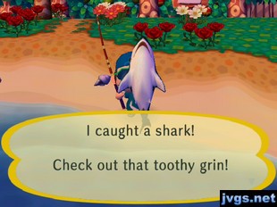 I caught a shark! Check out that toothy grin!