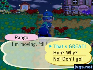 Pango informs me that she's moving away, and I tell her that's great.