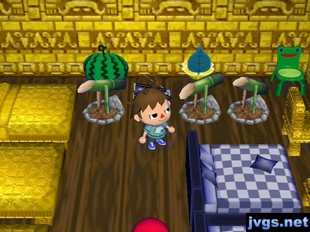 Several deer scares in Scott's house.