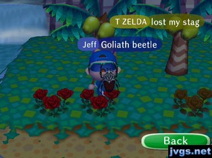 Jeff shows off his goliath beetle in AC City Folk for Wii.