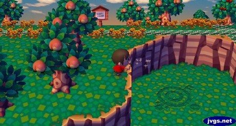 Blowing some dandelion puffs at the crop circle (mystery circle) in Animal Crossing: City Folk.