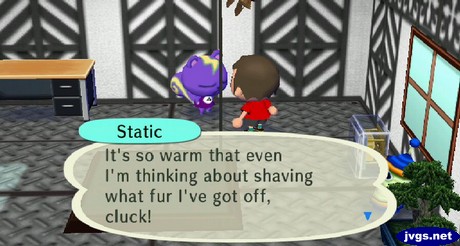 Static: It's so warm that even I'm thinking about shaving what fur I've got off, cluck!