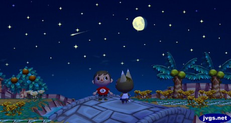 Jeff and Kitty stand on the bridge as a shooting star flies by overhead during a meteor shower in ACCF.
