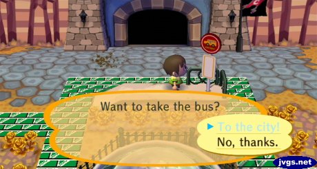 Bees follow me to the bus stop.