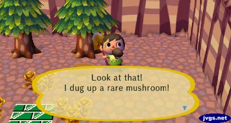 Look at that! I dug up a rare mushroom!