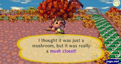 I thought it was just a mushroom, but it was really a mush closet!
