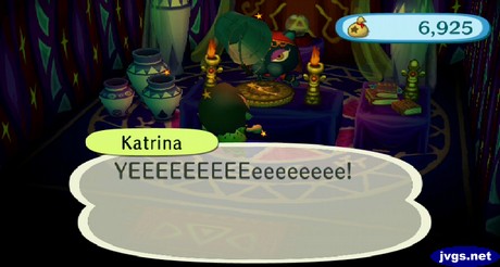 A bucket drops on my head as Katrina prepares to tell me my fortune in Animal Crossing: City Folk. 