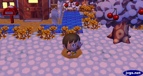 Jeff struggles to get out of a pitfall in ACCF.