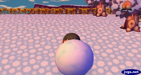 Jeff falls into a pitfall behind a large snowball in Animal Crossing: City Folk.