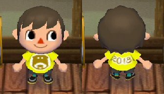 The New Year's shirt for 2018, with a dog on the front in Animal Crossing: City Folk (ACCF) for Nintendo Wii.