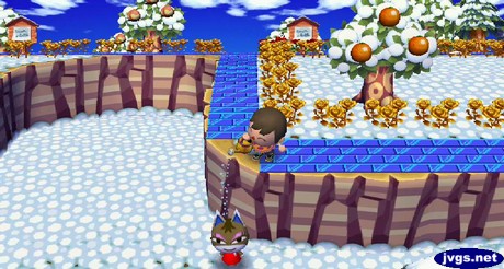 Jeff using a watering can to sprinkle water on Kitty's head from above in Animal Crossing: City Folk.