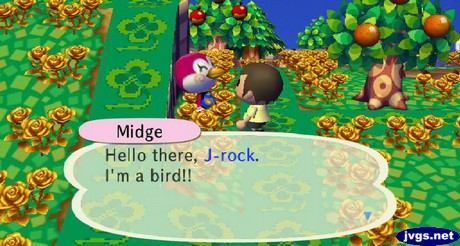 Midge: Hello there, J-rock. I'm a bird!!