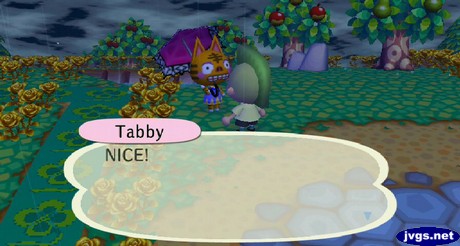 Tabby: NICE!