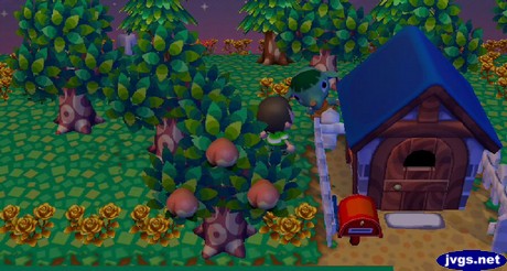 Opal hides behind a house in a game of hide and seek.