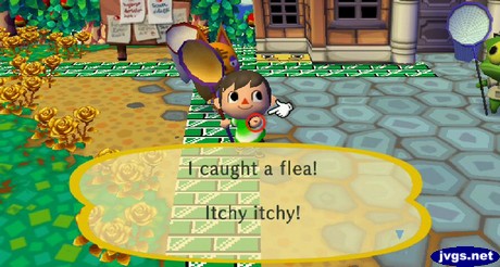 I caught a flea! Itchy itchy!