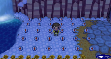 Jeff's collection of 30 pitfall seeds in Animal Crossing: City Folk for Wii.