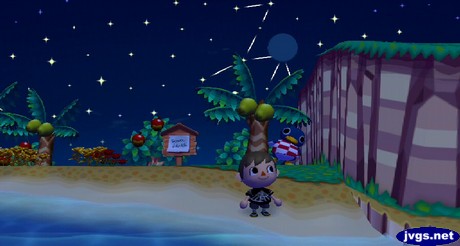 Roald tries to hide behind a palm tree during a game of hide-and-seek in Animal Crossing: City Folk.
