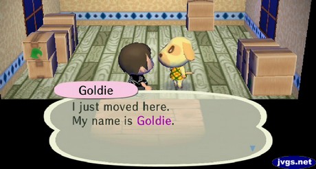 Goldie: I just moved here. My name is Goldie.