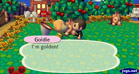Goldie: I'm golden!