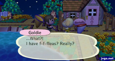 Goldie: ...What?! I have f-f-fleas? Really?