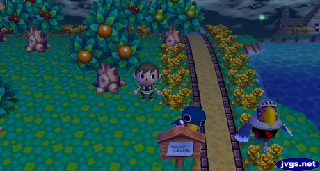 Roald tries to hide behind a sign post during a game of hide-and-seek in Animal Crossing: City Folk.