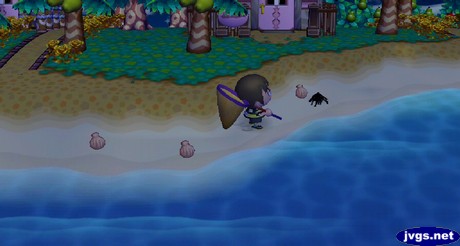 Jeff walks towards a tarantula on the beach in Animal Crossing: City Folk.