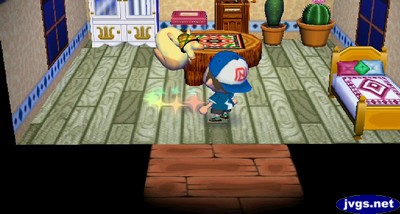 Goldie takes some medicine in ACCF.