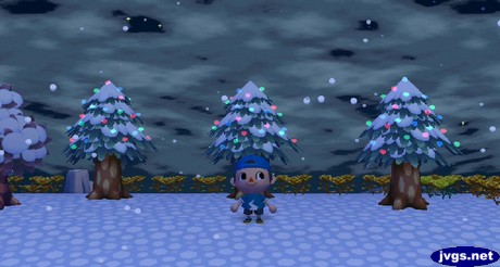 Three cedar trees in a row are lit up with festive lights in Animal Crossing: City Folk.