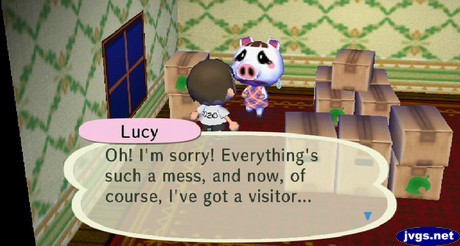 Lucy: Oh! I'm sorry! Everything's such a mess, and now, of course, I've got a visitor...