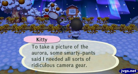 Kitty: To take a picture of the aurora, some smarty-pants said I needed all sorts of ridiculous camera gear.