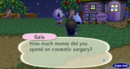 Gala: How much money did you spend on cosmetic surgery?
