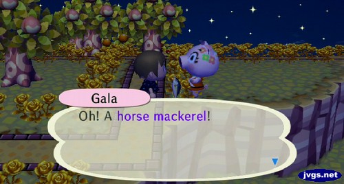 Gala: Oh! A horse mackerel!