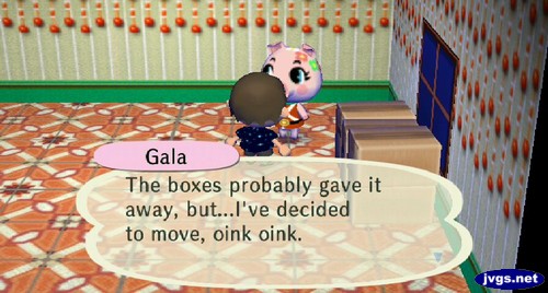 Gala: The boxes probably gave it away, but...I've decided to move, oink oink.