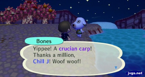 Bones: Yippee! A crucian carp! Thanks a million, Chill J! Woof woof!