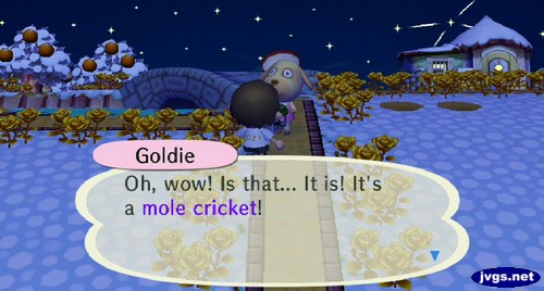 Goldie: Oh, wow! Is that... It is! It's a mole cricket!
