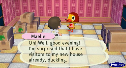 Maelle: Oh! Well, good evening! I'm surprised that I have visitors to my new house already, duckling.