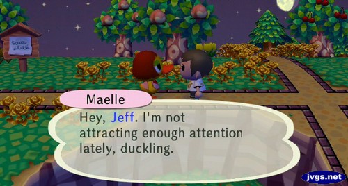 Maelle: Hey, Jeff. I'm not attracting enough attention lately, duckling.