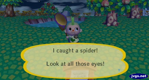 I caught a spider! Look at all those eyes!